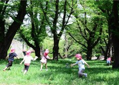 社会福祉法人太陽育生会